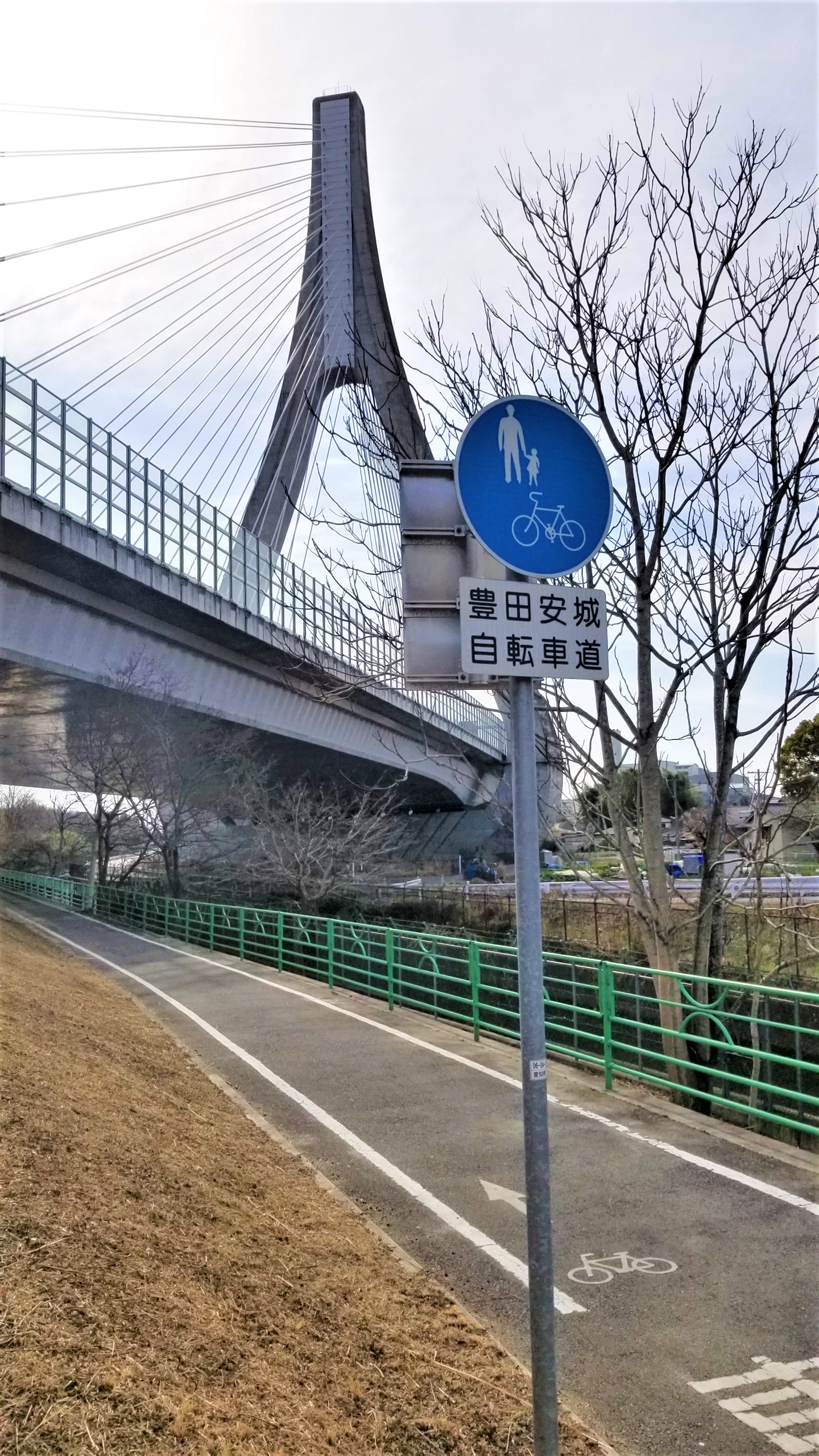 豊田安城自転車道　豊田アローズブリッジ近く